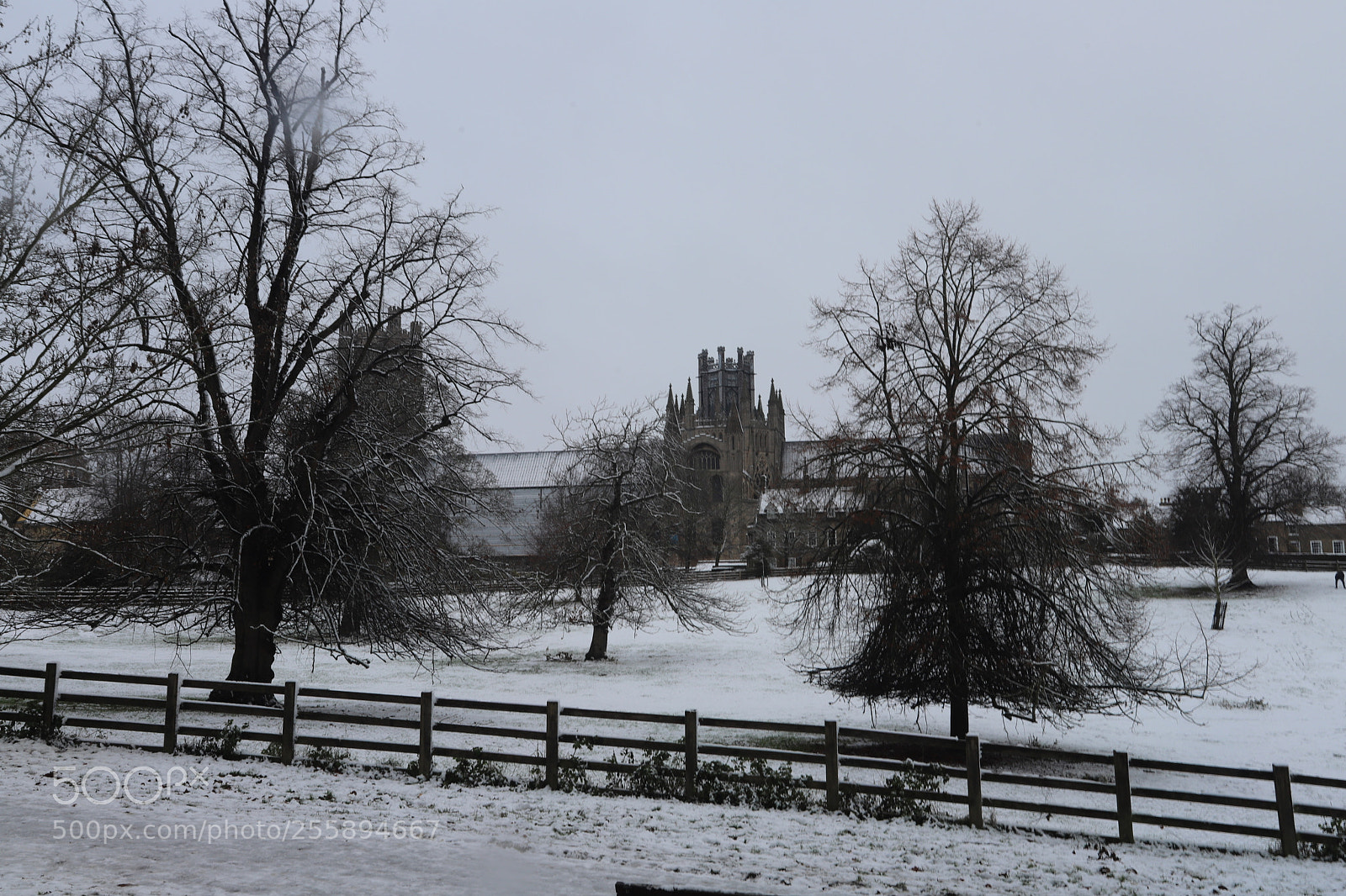 Canon EOS 6D Mark II sample photo. In and around ely photography