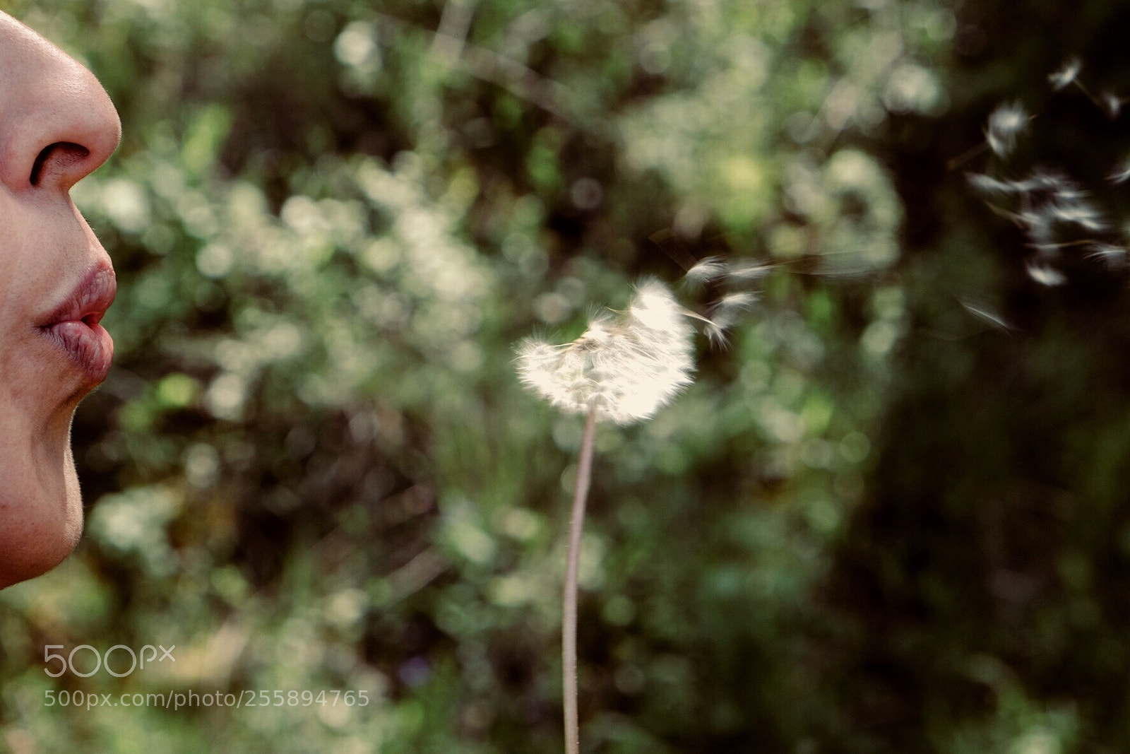 Fujifilm X-T1 sample photo. Untitled photography