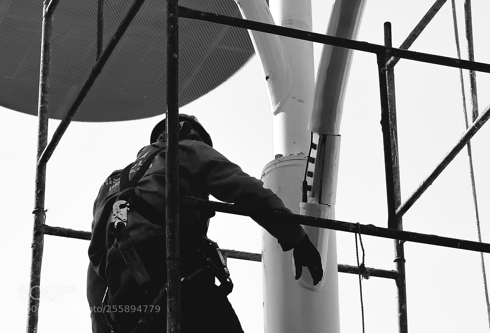 Nikon D610 sample photo. Work photography