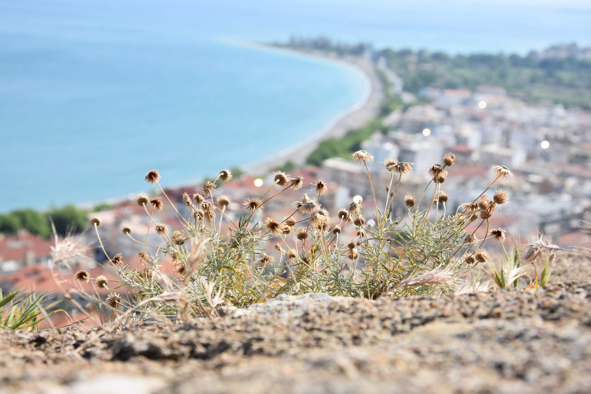 Nikon D3400 sample photo. On the edge of the hill photography