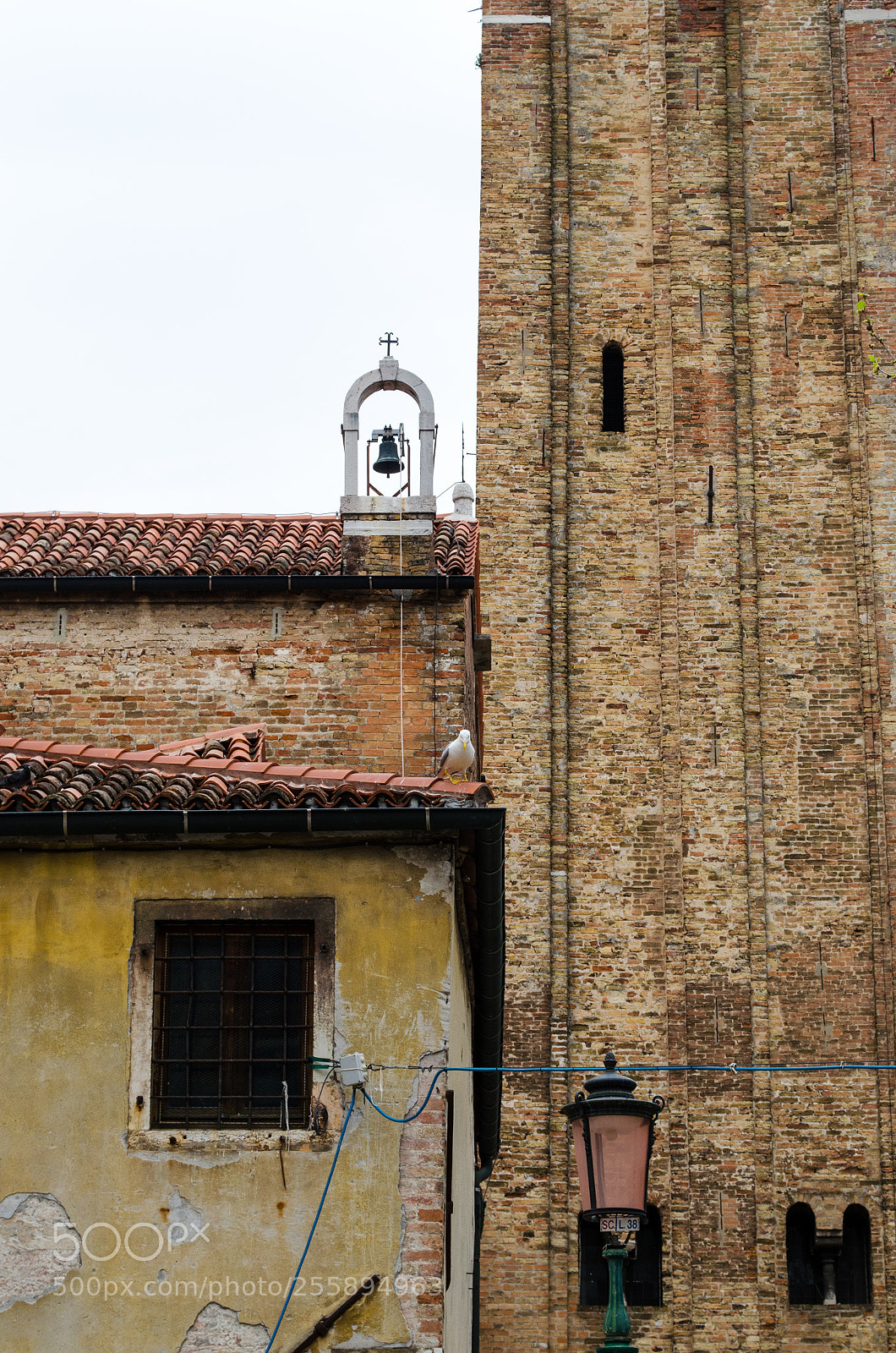 Nikon D5100 sample photo. More than three quarters photography