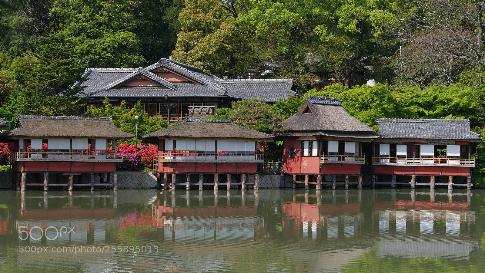 Panasonic Lumix DC-G9 sample photo. Japanese-style restaurant on the photography