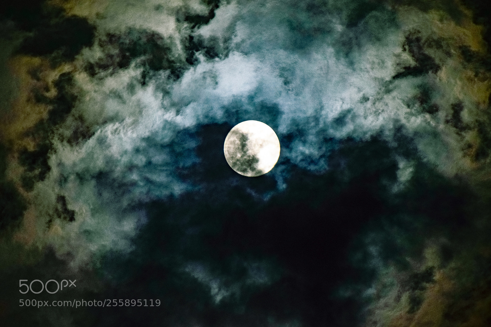 Nikon D3300 sample photo. Full moon tonight photography