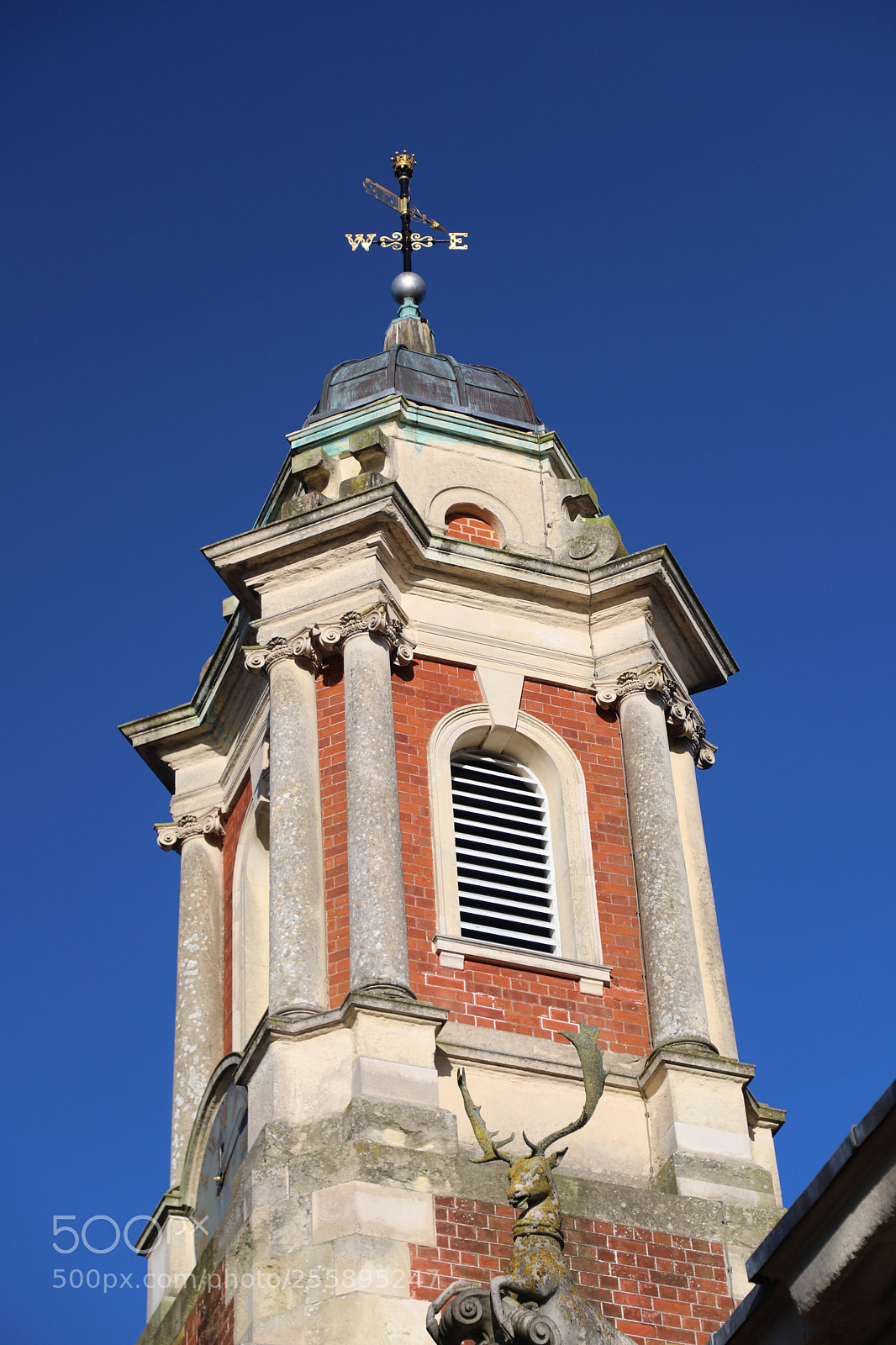 Canon EOS 6D Mark II sample photo. National trust, wimpole hall photography