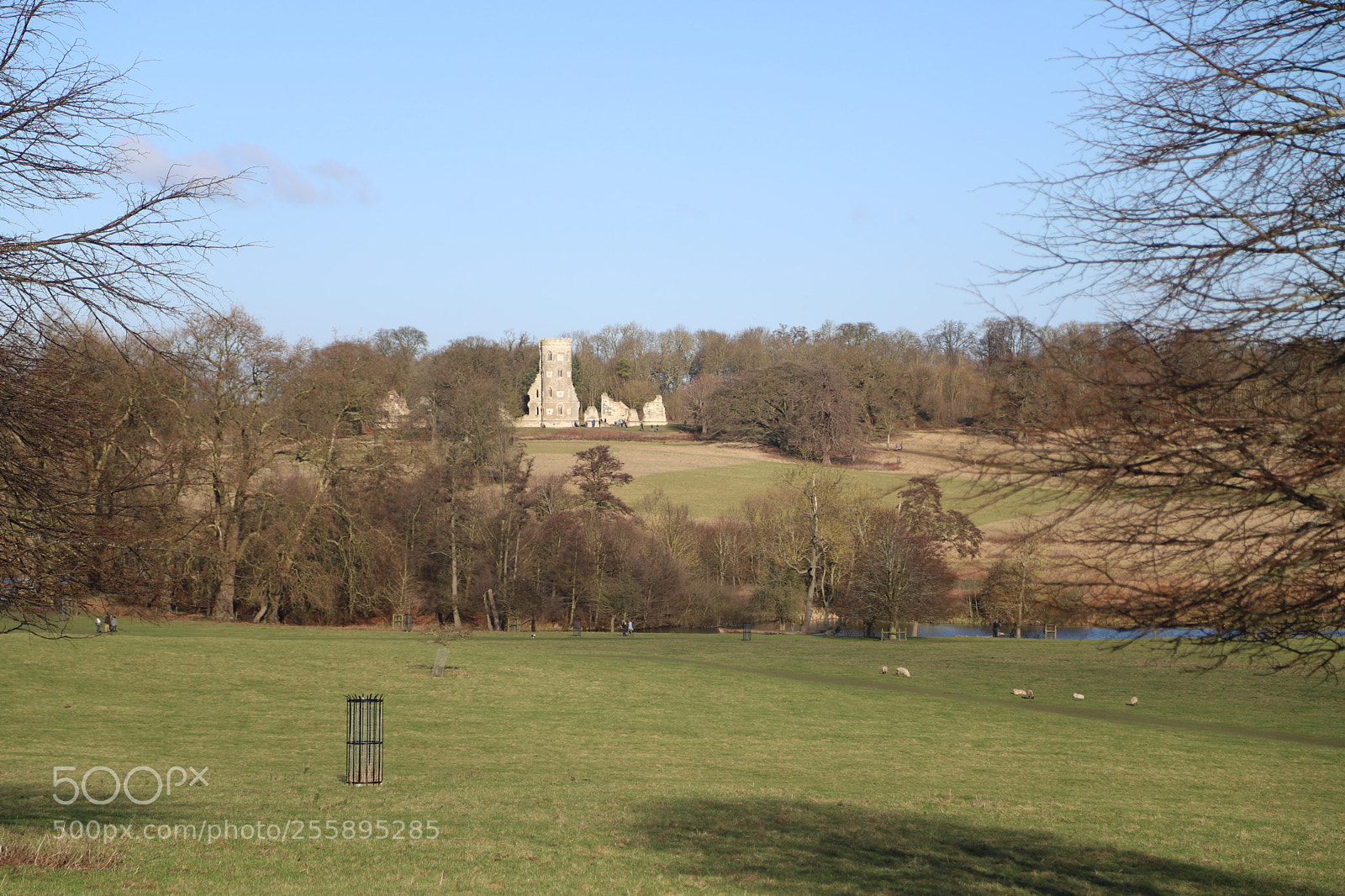 Canon EOS 6D Mark II sample photo. National trust, wimpole hall photography
