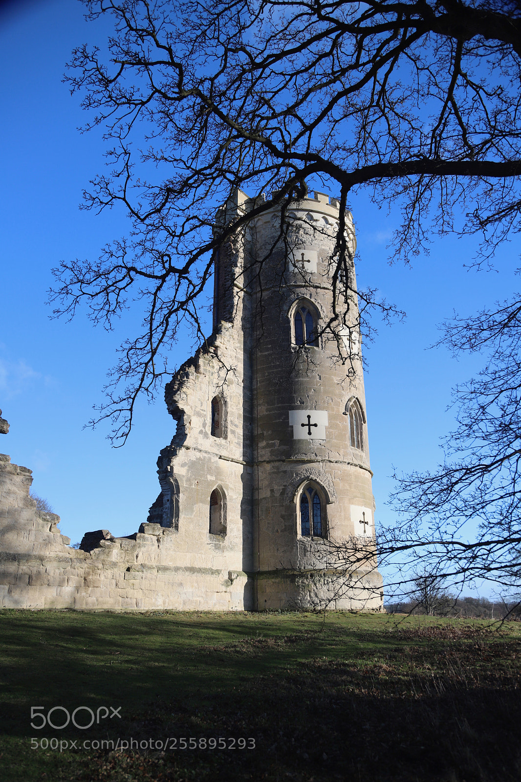 Canon EOS 6D Mark II sample photo. National trust, wimpole hall photography