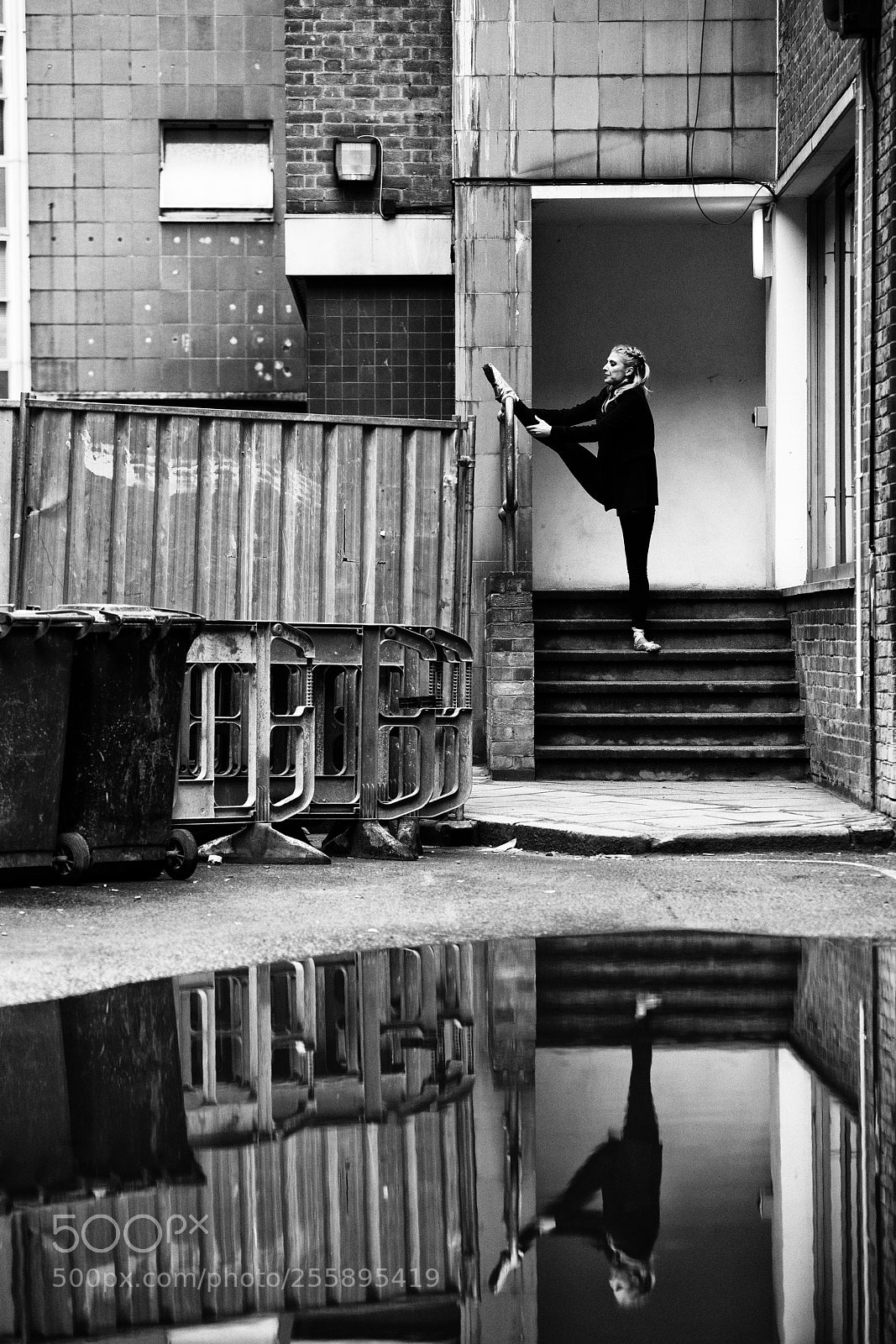 Nikon D850 sample photo. Stretching after the rain photography