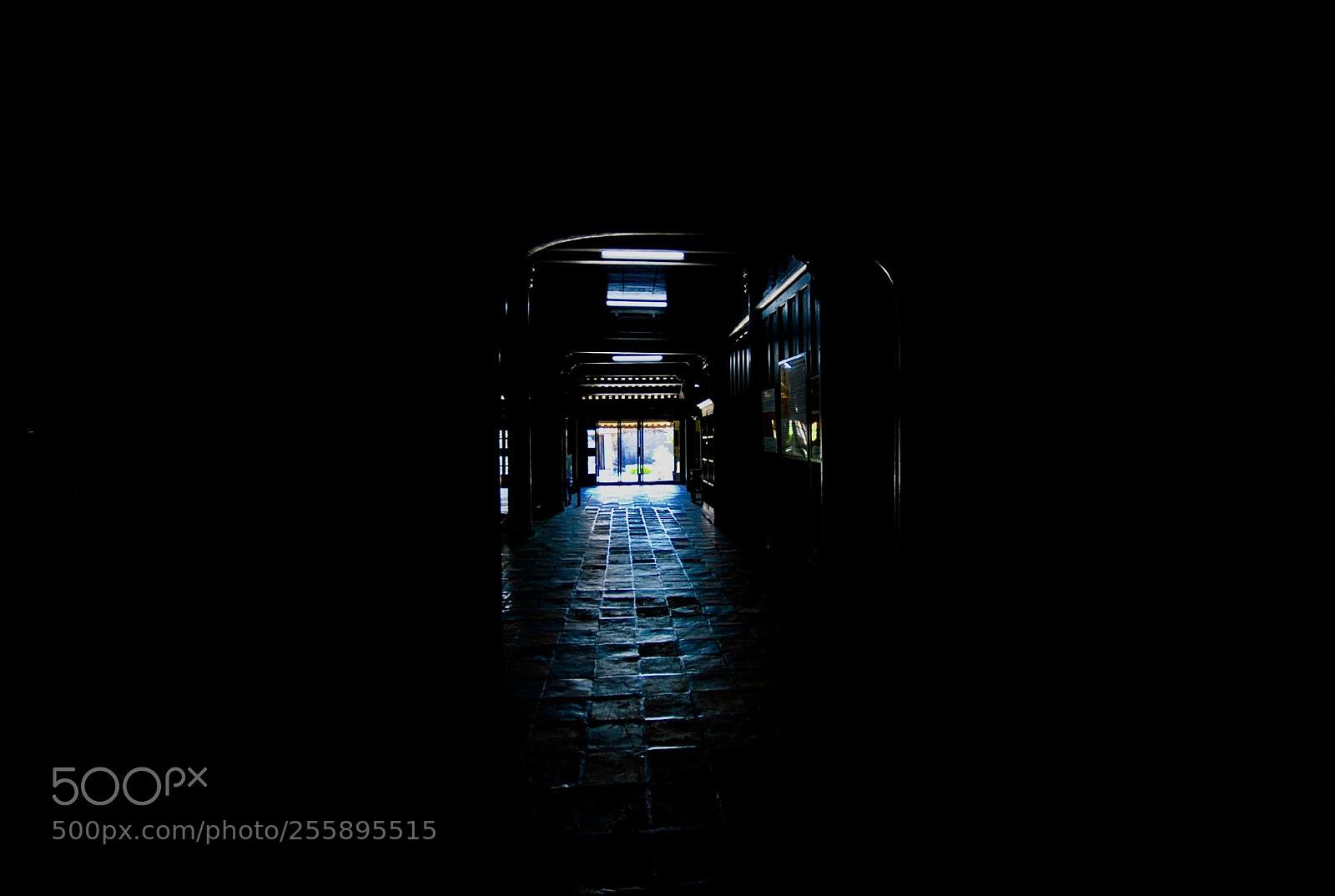 Nikon D3000 sample photo. Untitled photography