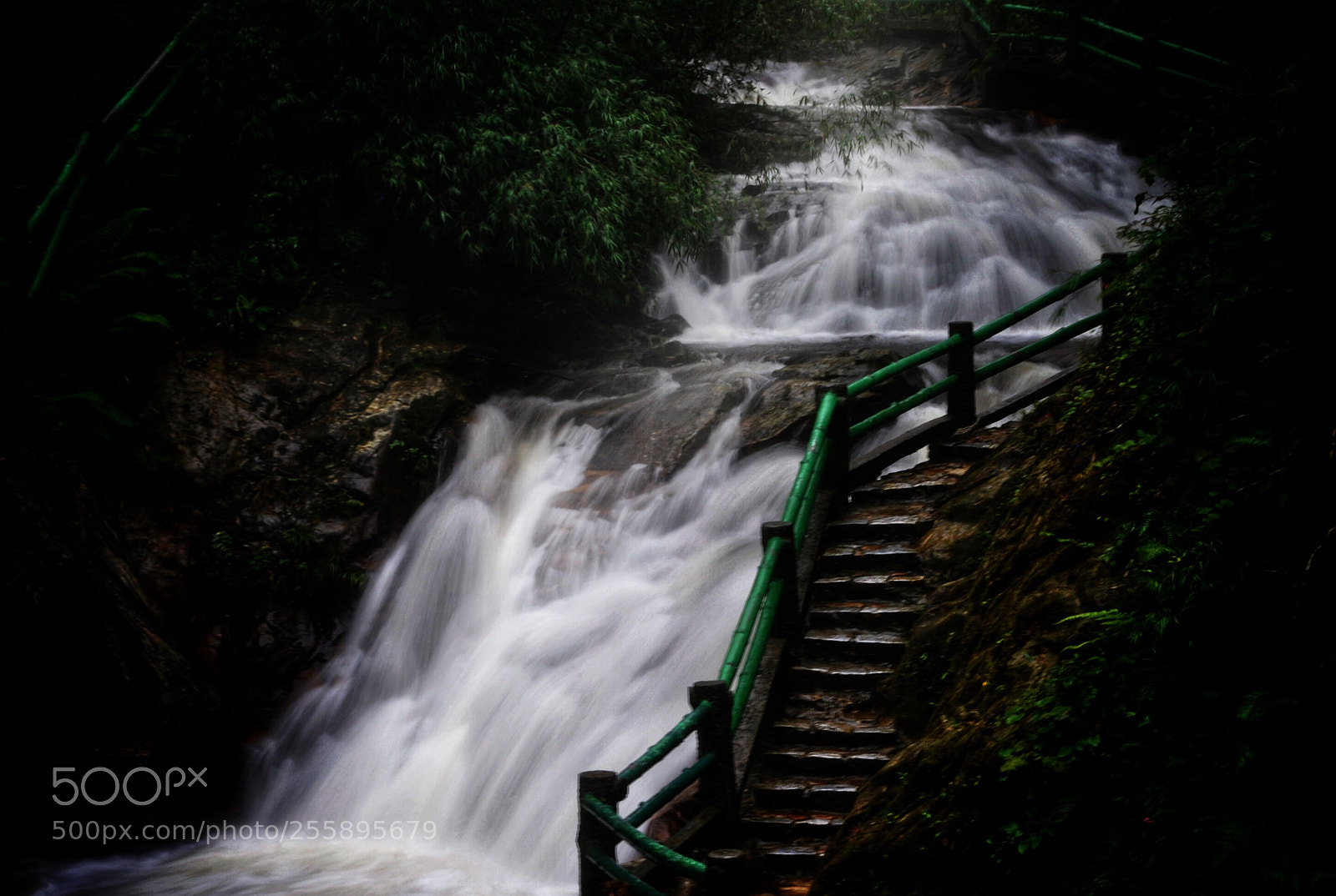 Nikon D3000 sample photo. Water photography