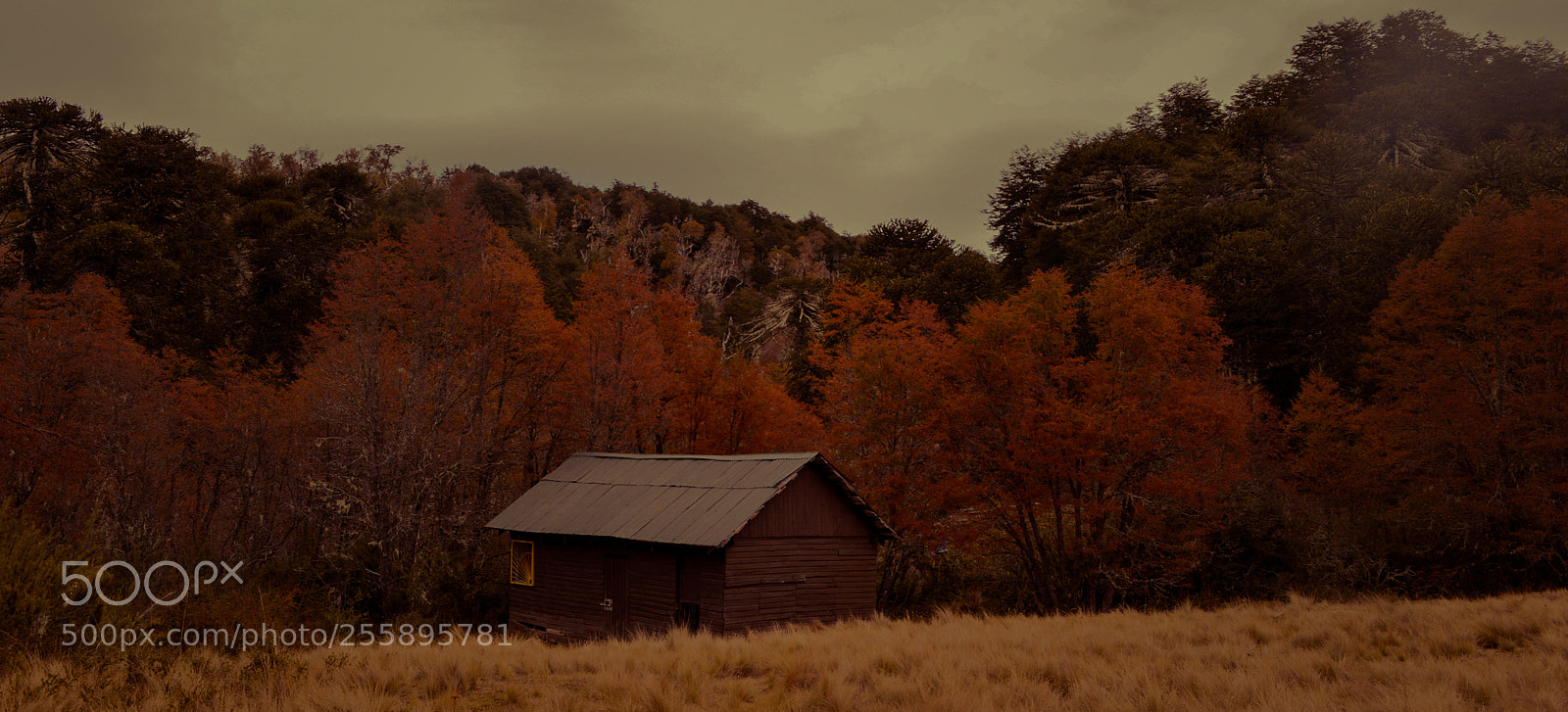 Nikon D3200 sample photo. Casa en la colina photography