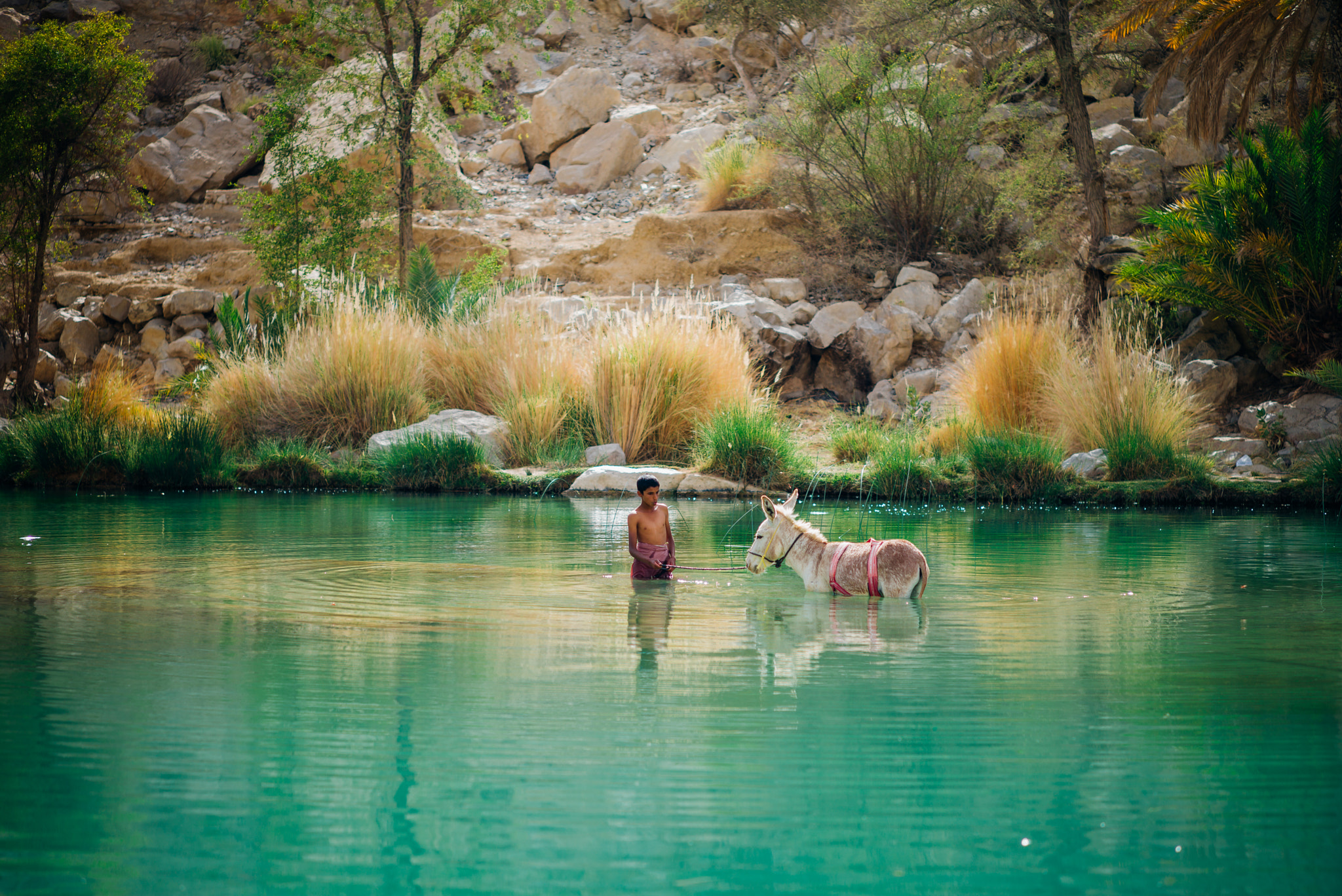Leica M (Typ 262) sample photo. Wadi bani khalid photography