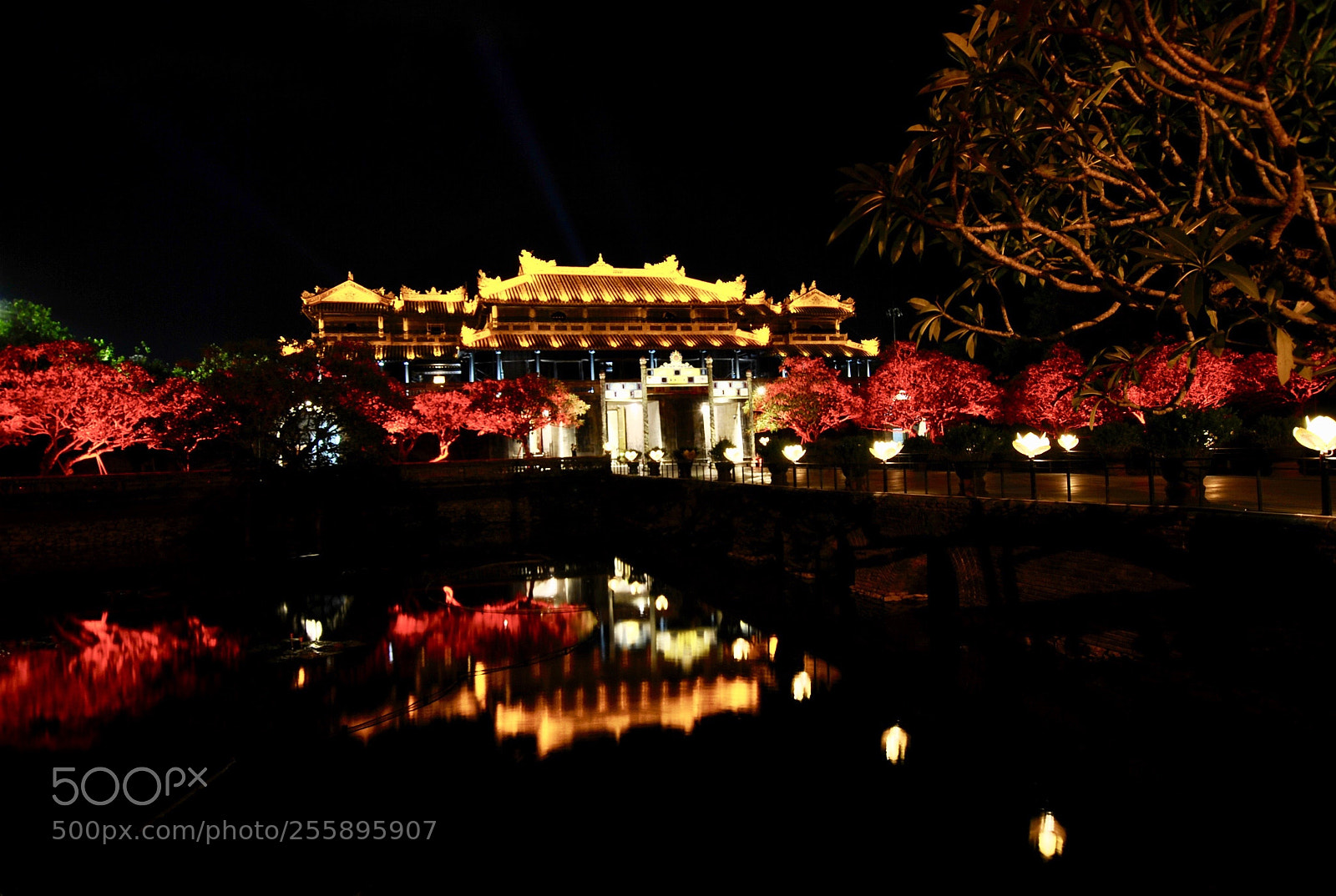 Nikon D3000 sample photo. Hui palace photography