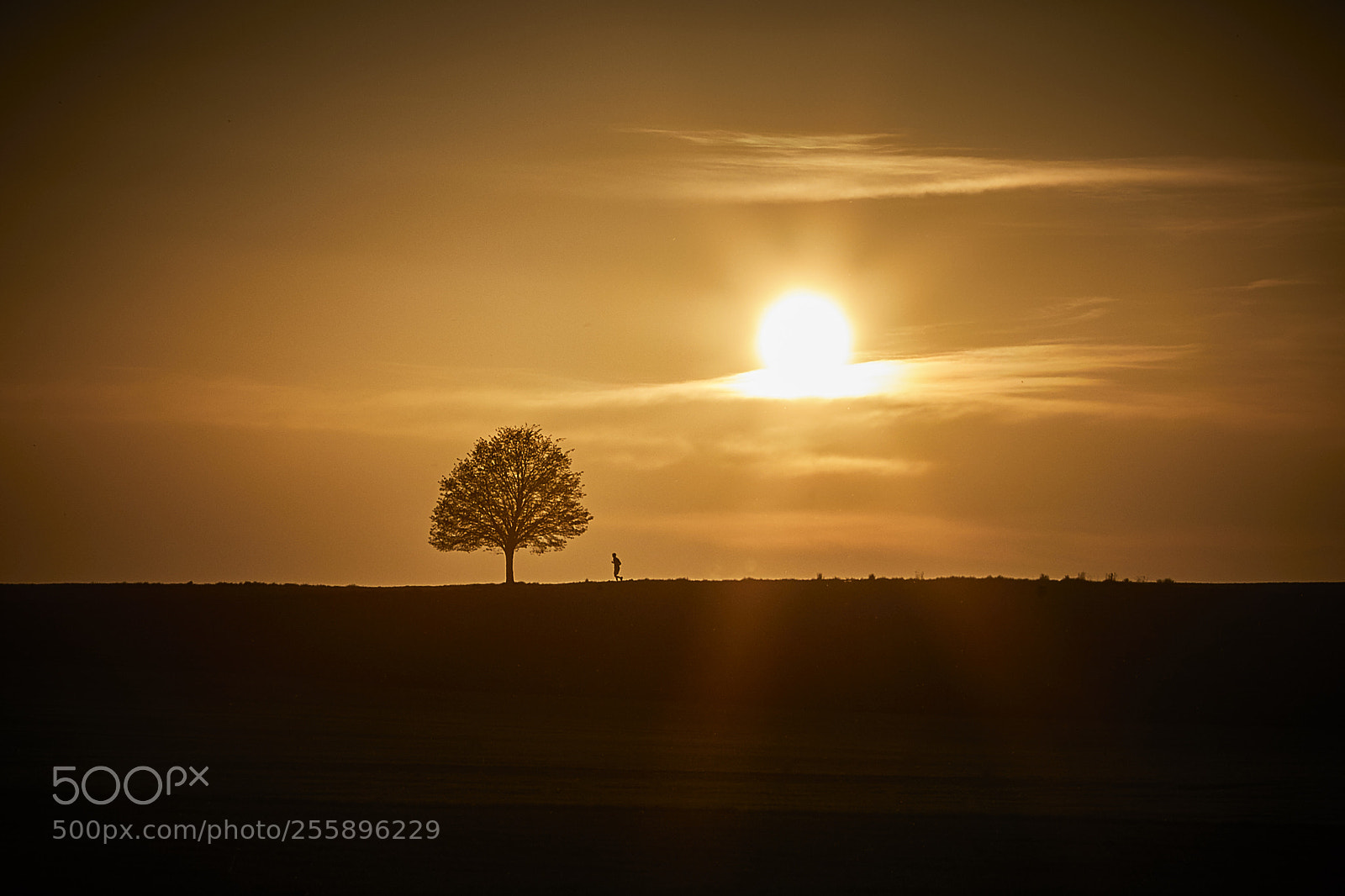 Canon EOS 5D Mark IV sample photo. Solitude photography