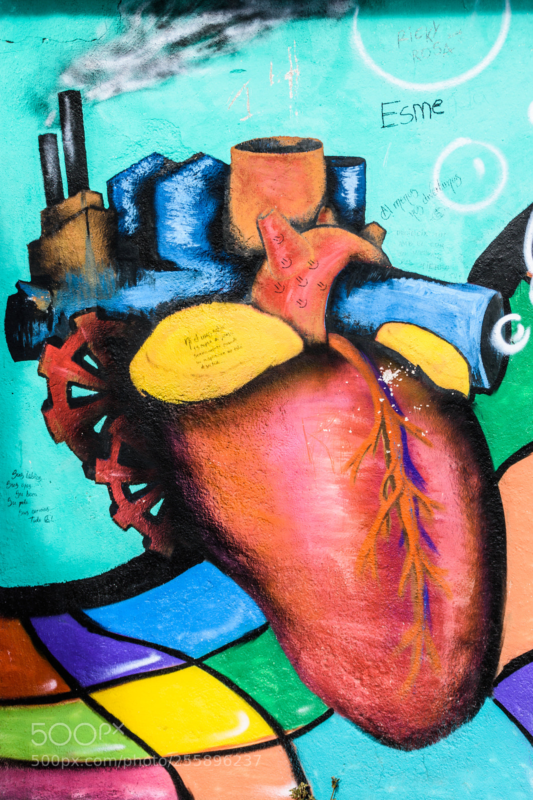 Nikon D7200 sample photo. Heart photography