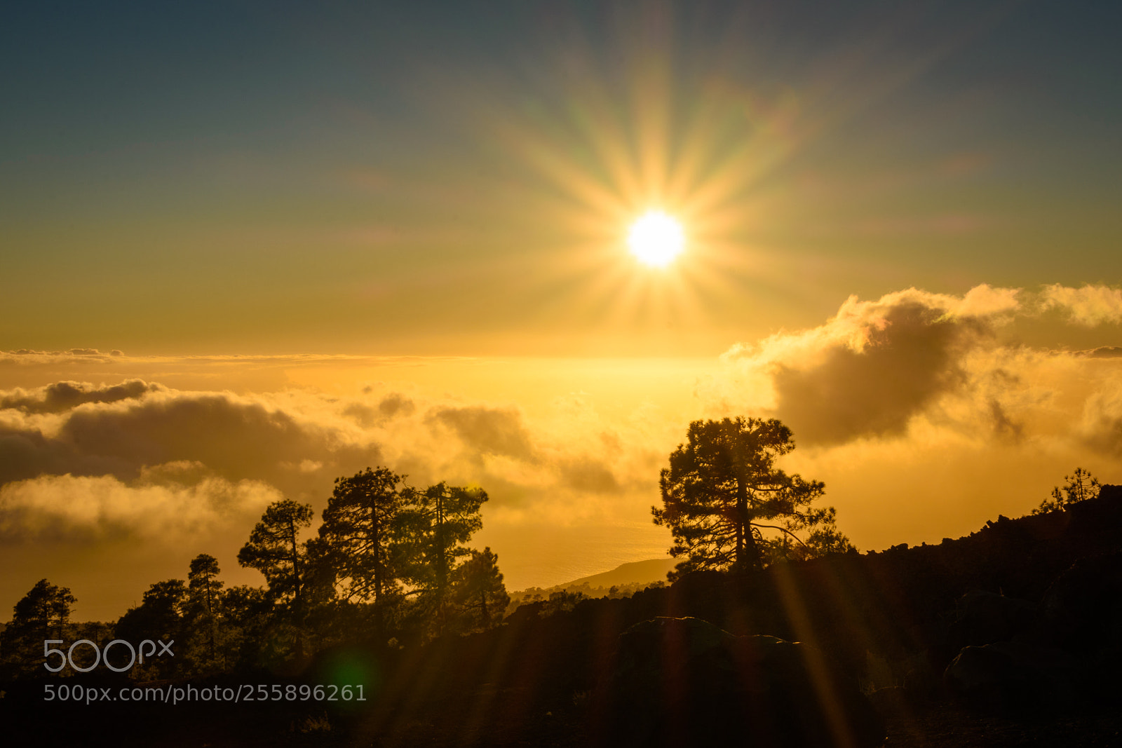 Nikon D7200 sample photo. Sunset close teide photography