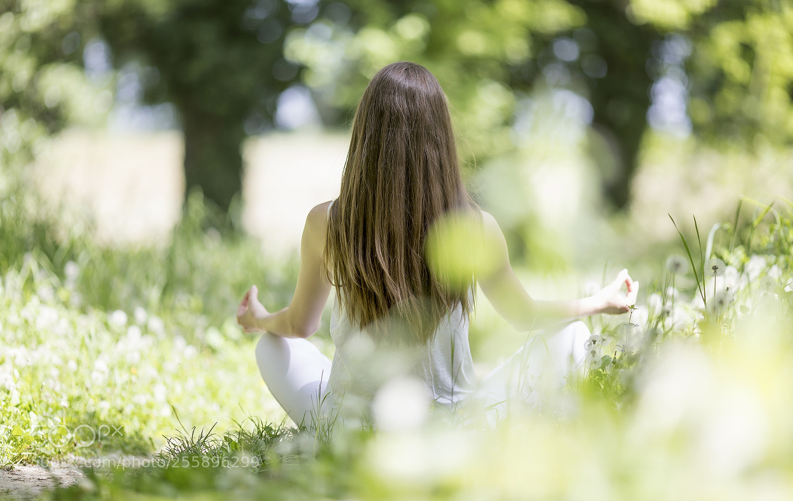 Canon EOS 5D Mark IV sample photo. Springtime morning photography
