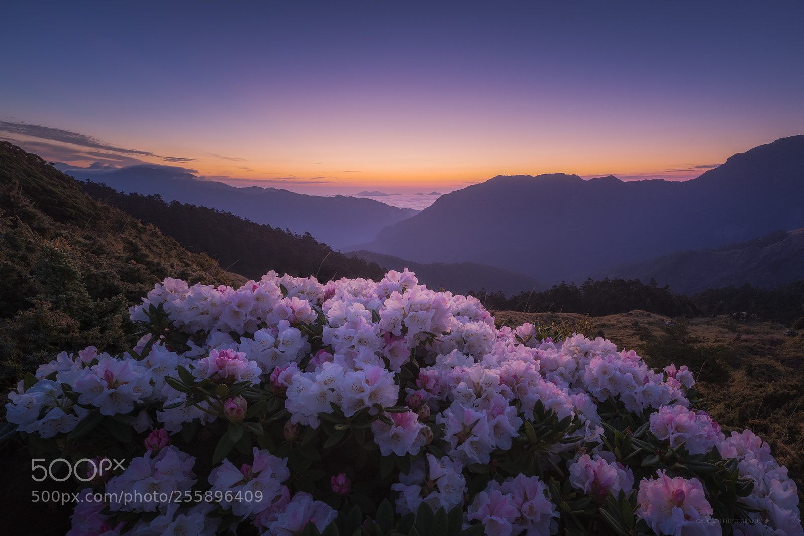 Canon EOS 6D sample photo. Sunrise photography