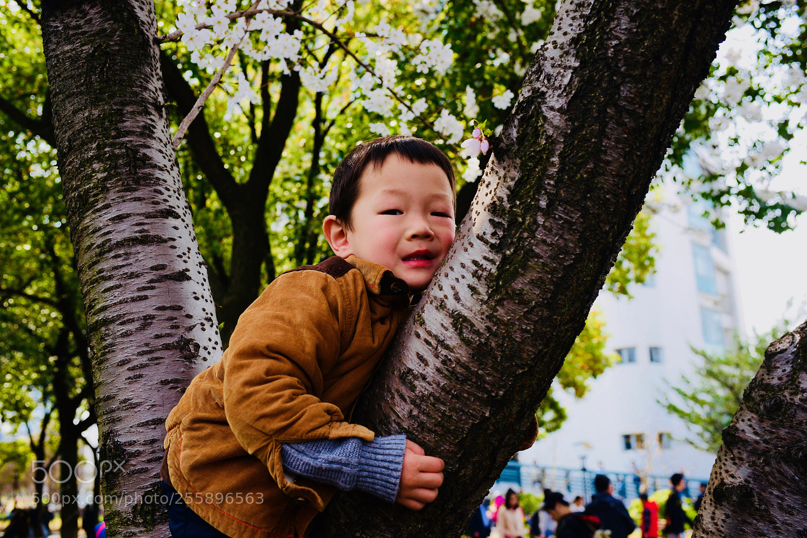 Nikon D610 sample photo. 回家 photography