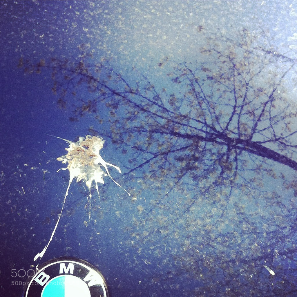 Apple iPhone 4 sample photo. Spring photography