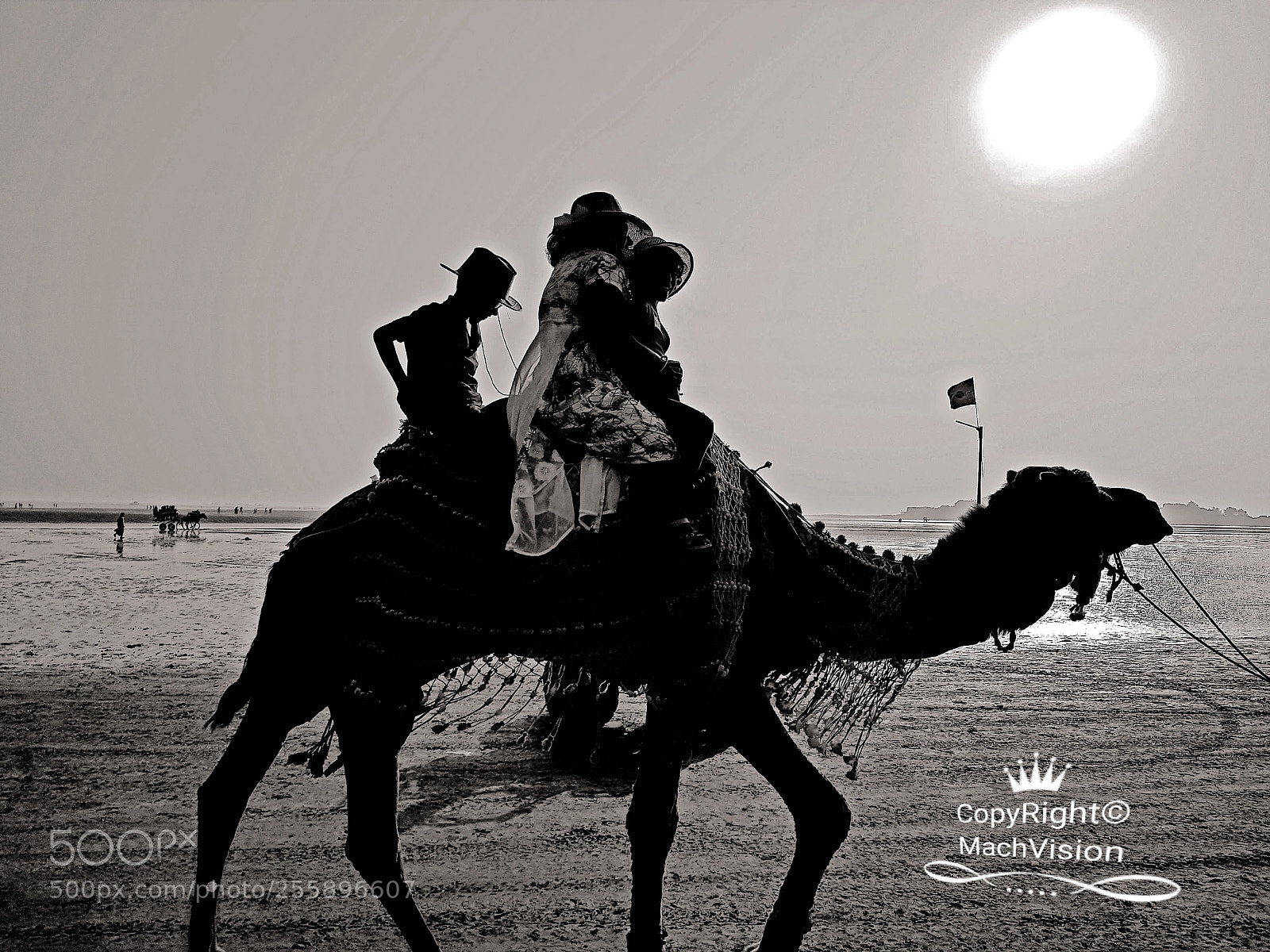 Samsung Galaxy S8 sample photo. The camel ride photography