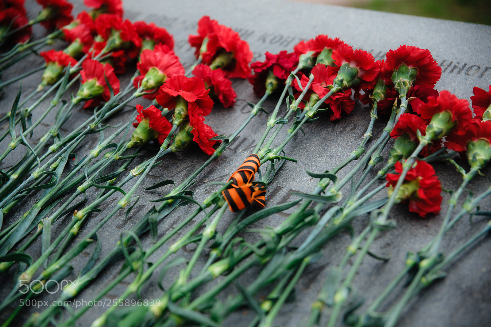 Canon EOS 6D sample photo. Reportage photography