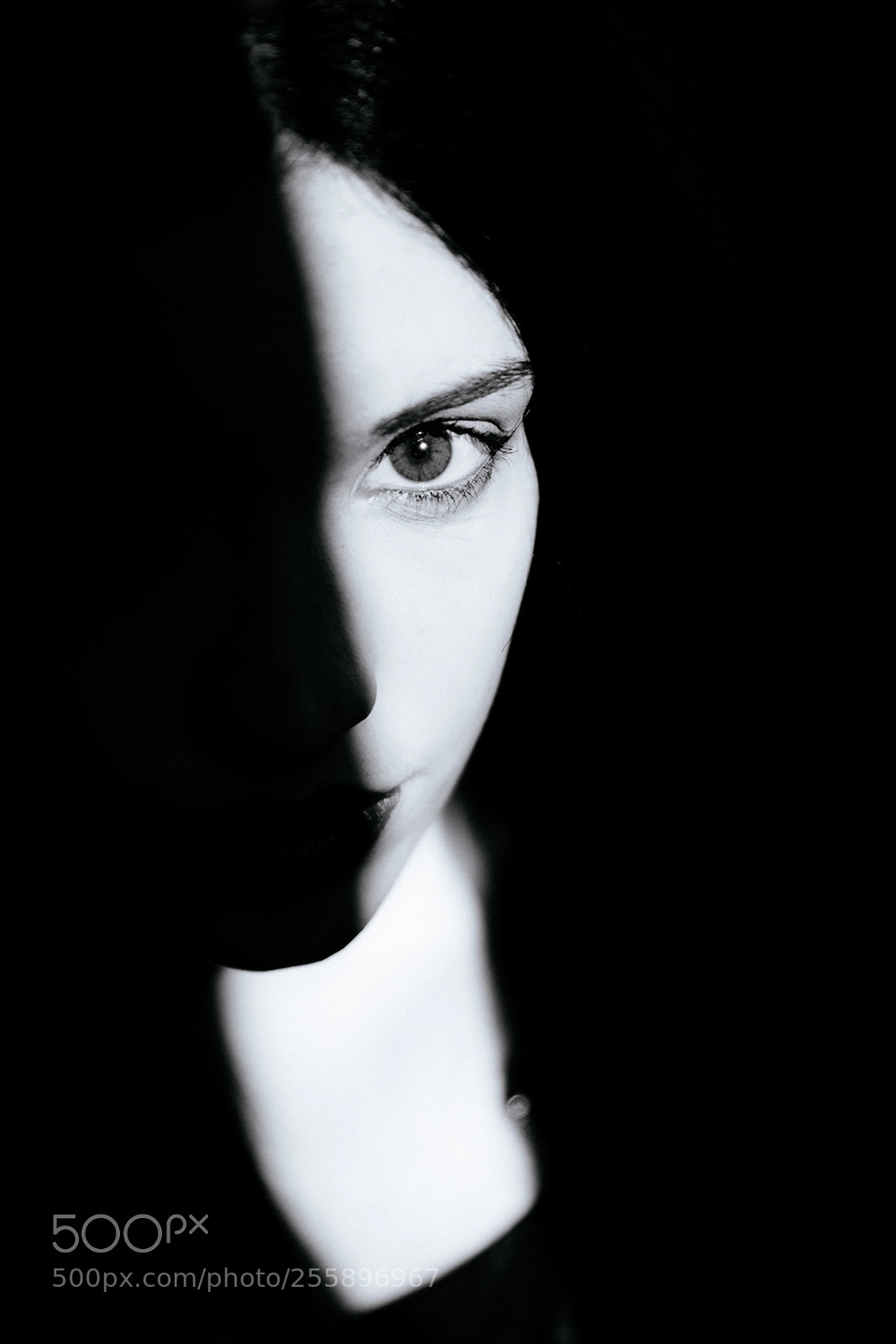 Canon EOS 5D Mark IV sample photo. The eye photography