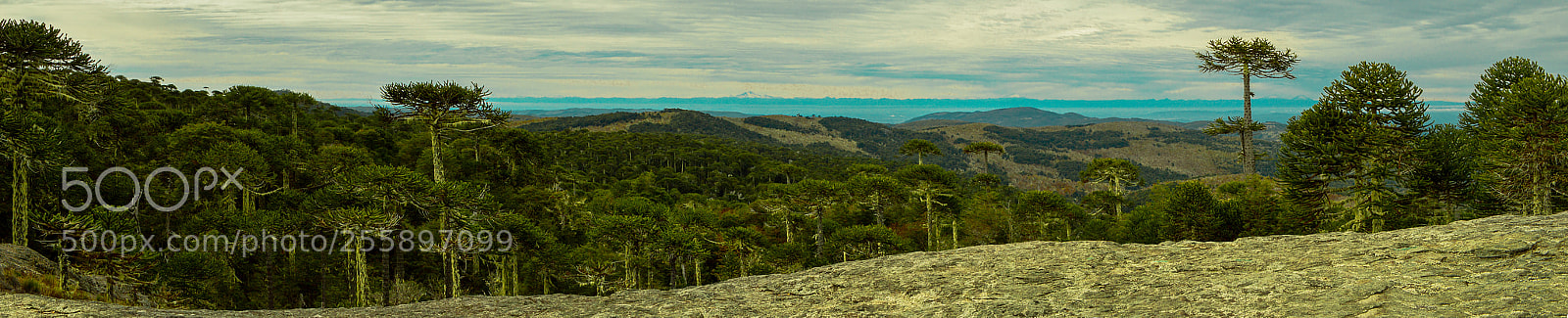 Nikon D3200 sample photo. Panor mica piedra del photography
