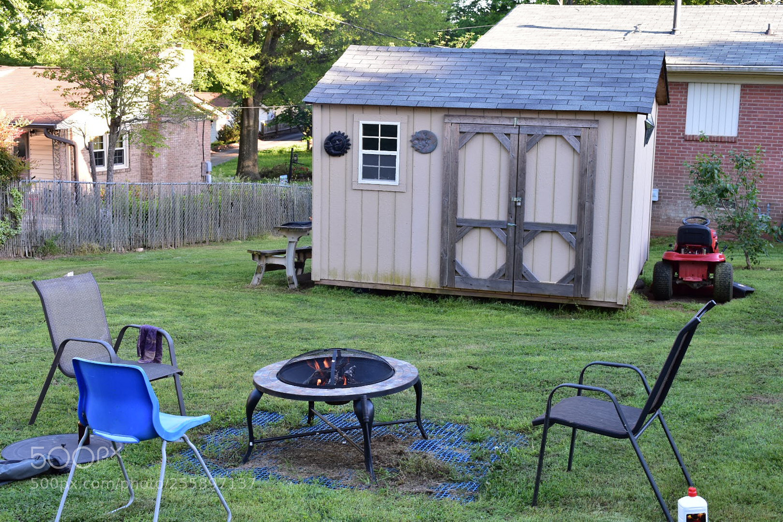 Nikon D3400 sample photo. Back yard  photography