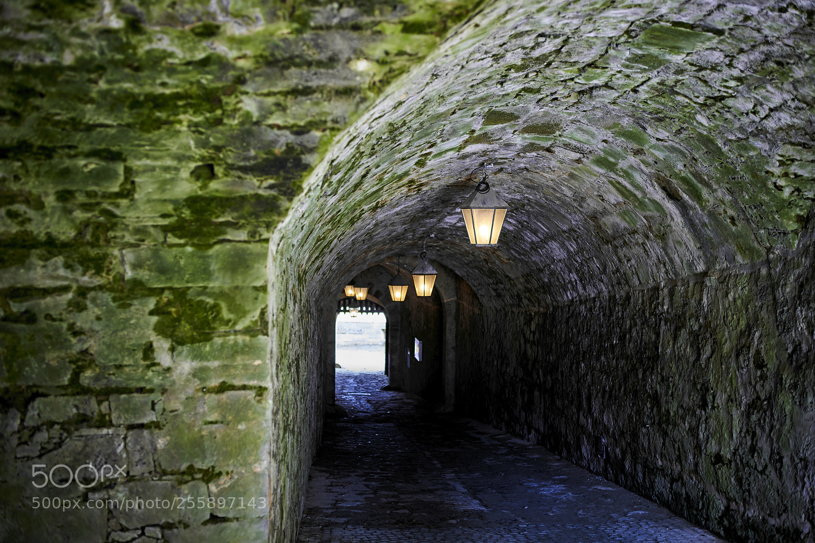 Sony a7R III sample photo. The long exit photography