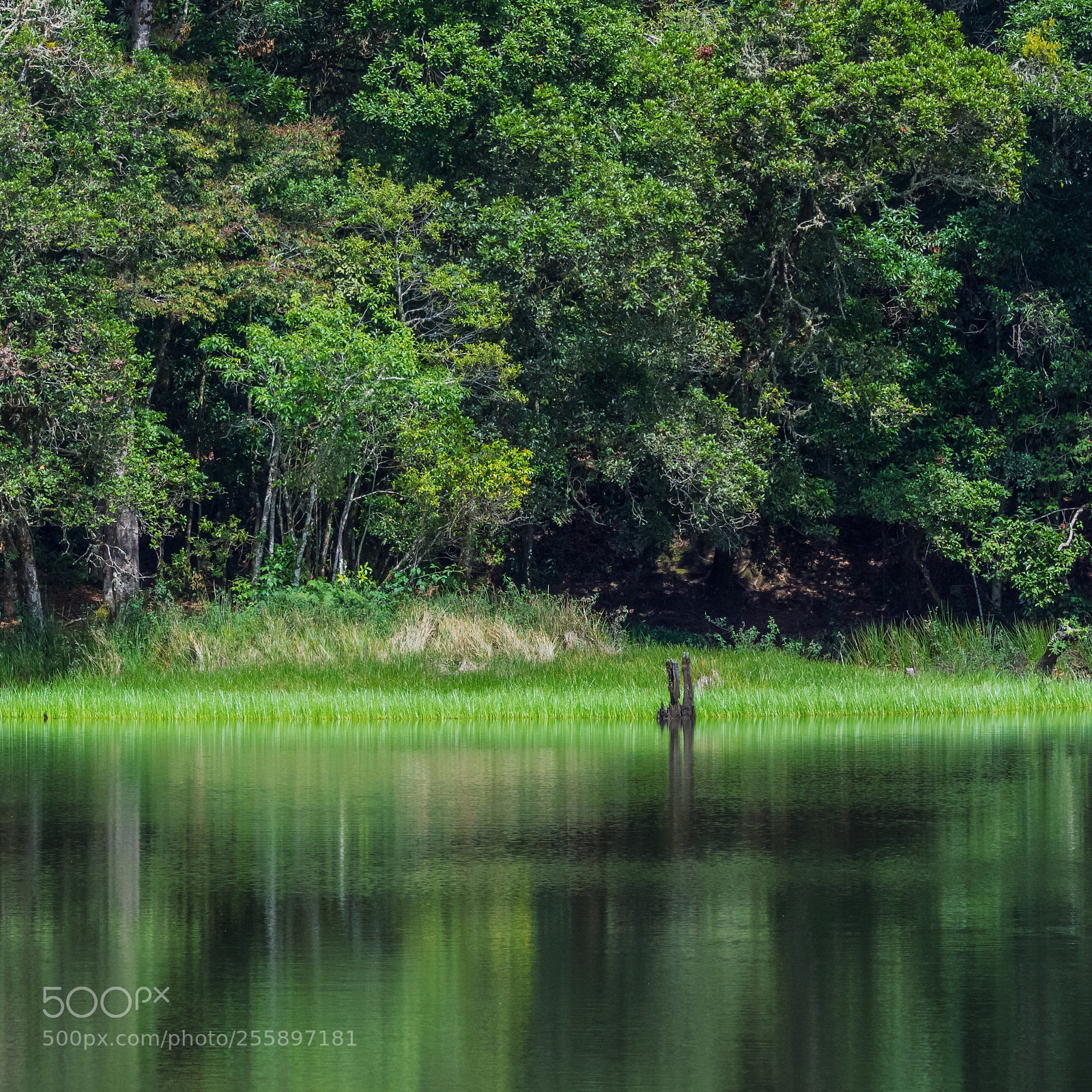 Nikon D7200 sample photo. Lake  photography
