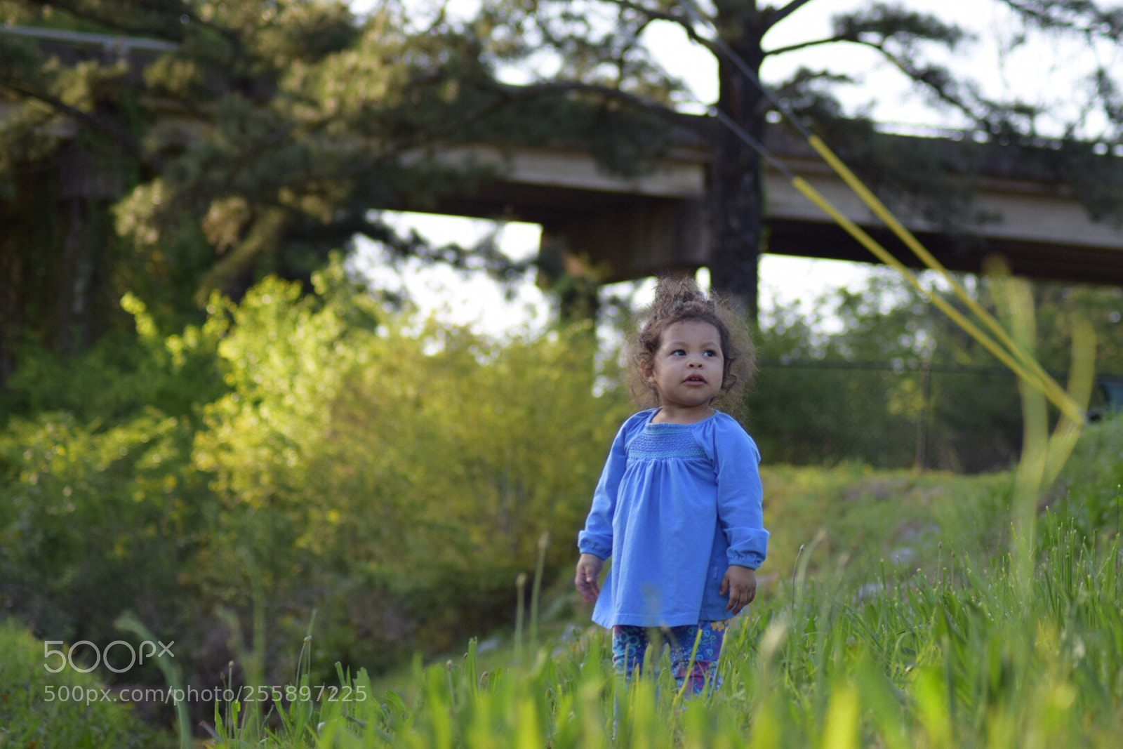 Nikon D5300 sample photo. Pequeña photography