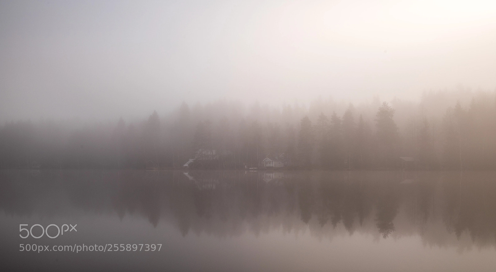 Canon EOS 5D Mark IV sample photo. Morning mist photography