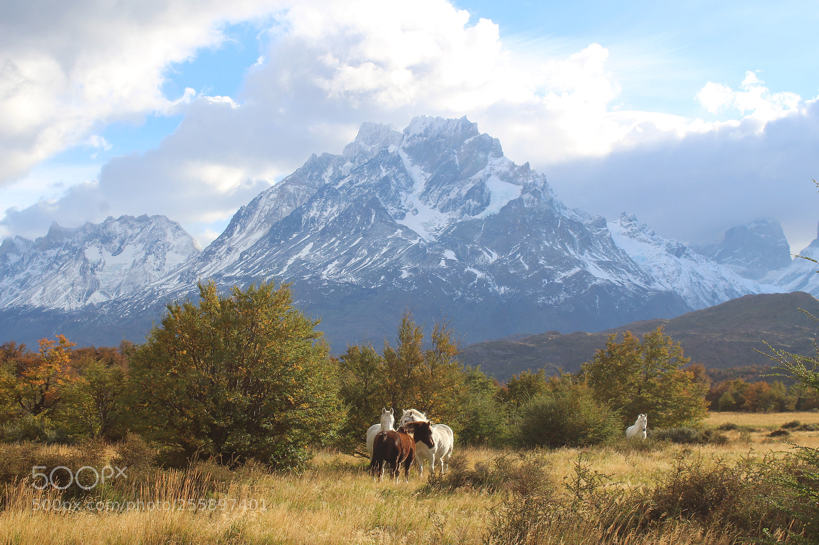 Canon EOS 1200D (EOS Rebel T5 / EOS Kiss X70 / EOS Hi) sample photo. Patagonia balance photography