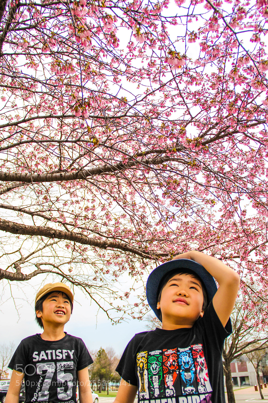 Canon EOS 60D sample photo. Blooming photography