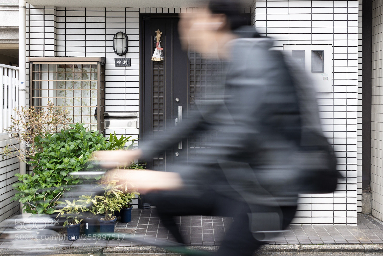 Nikon D5600 sample photo. Kyoto photography