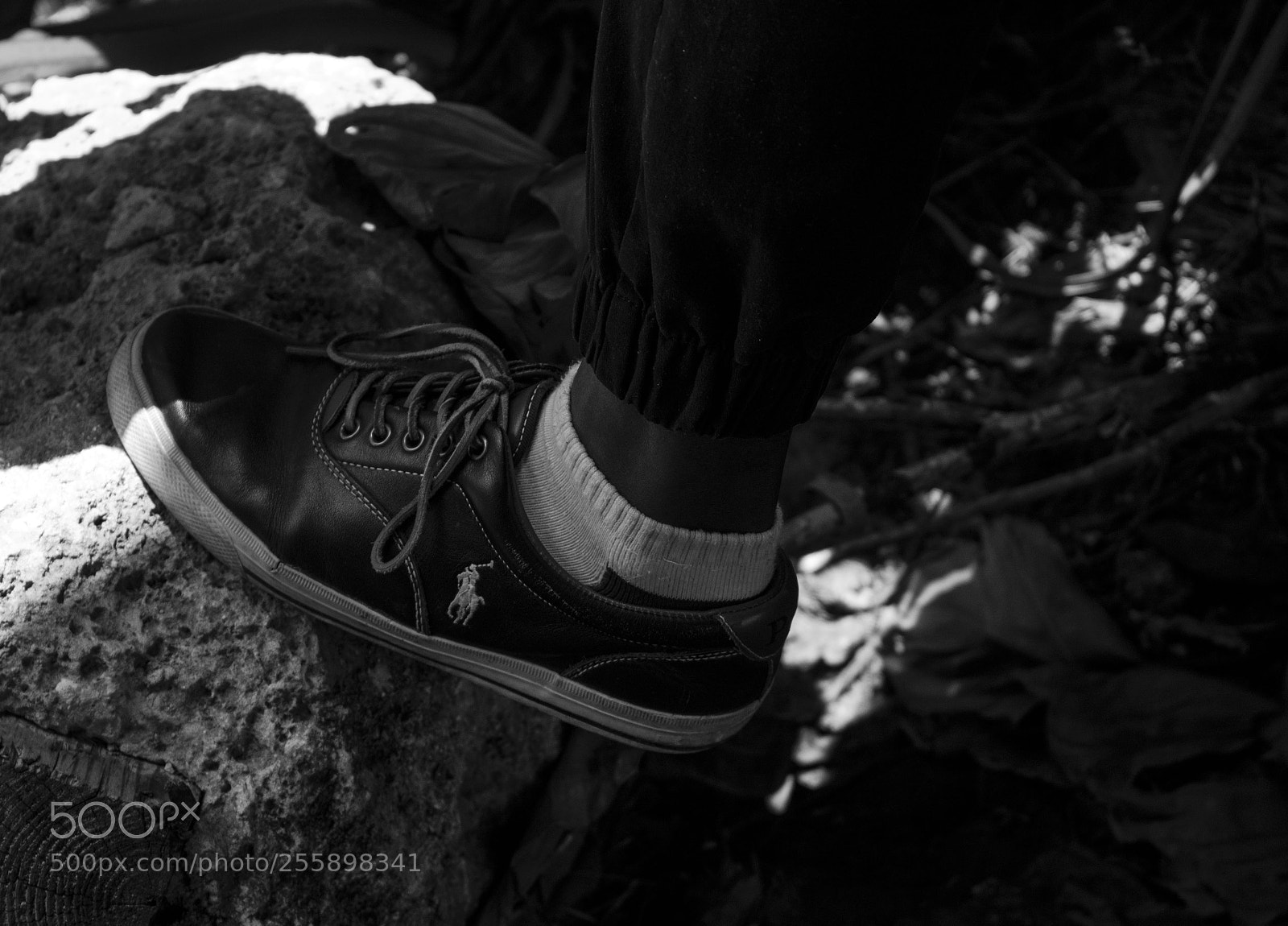 Canon EOS 750D (EOS Rebel T6i / EOS Kiss X8i) sample photo. Untitled photography
