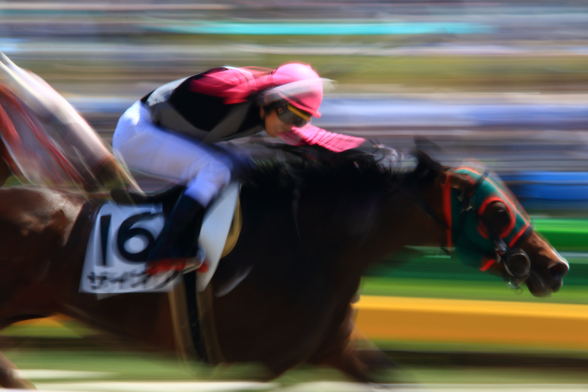 Sigma 150-600mm F5-6.3 DG OS HSM | C sample photo. Horse race photography