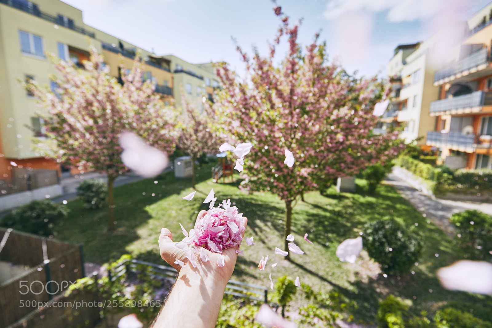 Canon EOS 5D Mark IV sample photo. Windy spring day photography