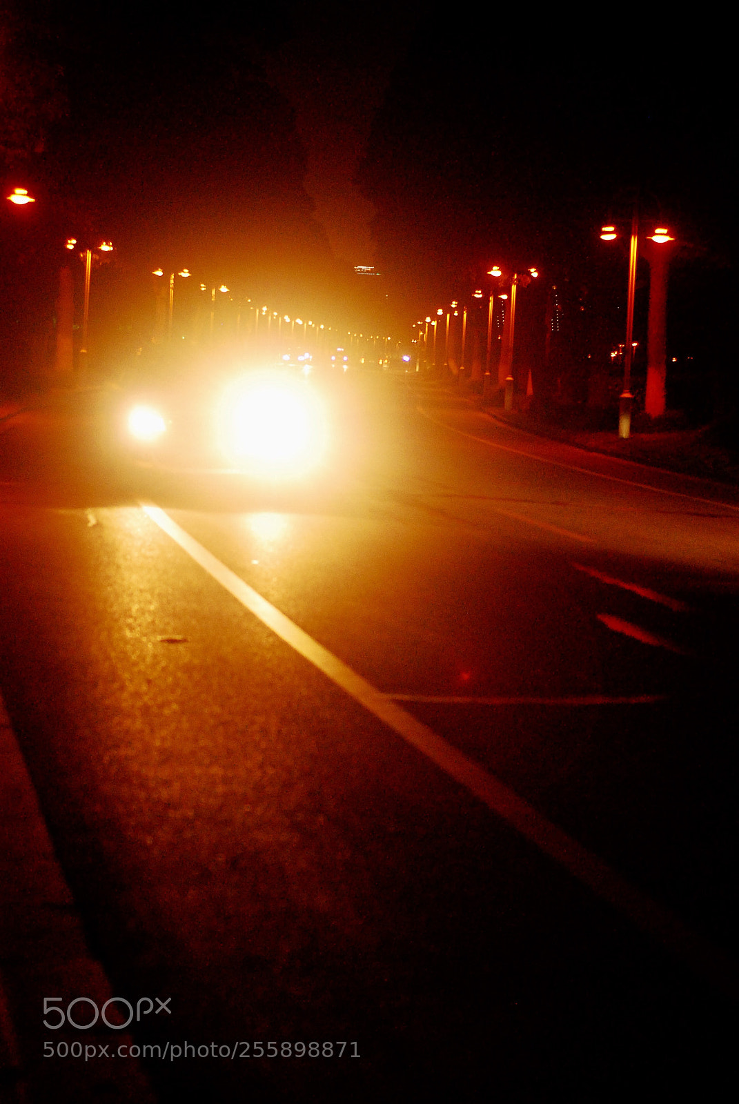 Nikon D80 sample photo. 夜晚的车灯 photography