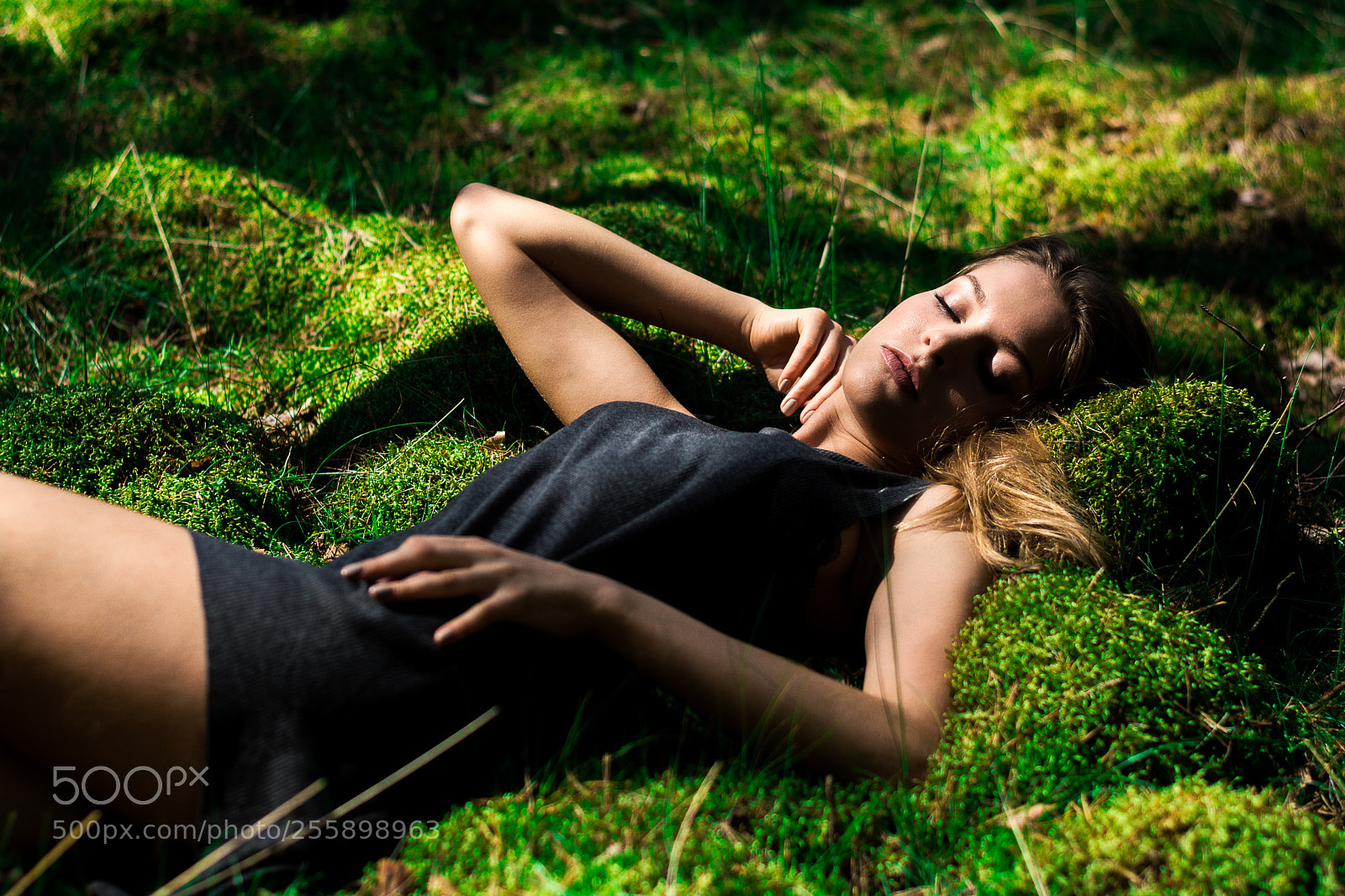 Nikon D7100 sample photo. Moss photography