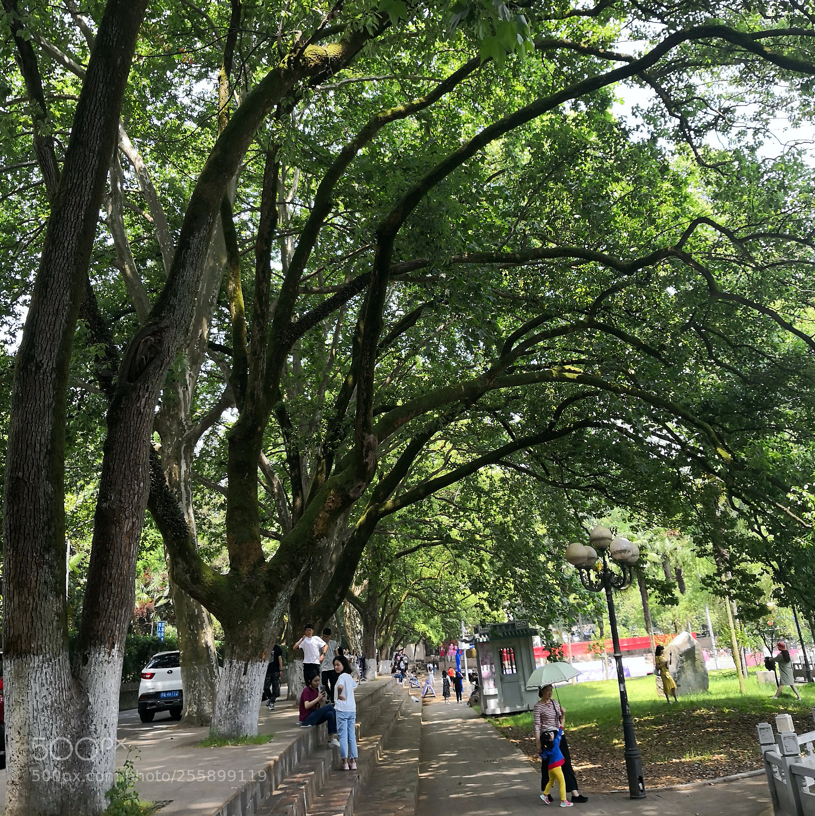 HUAWEI Mate 10 sample photo. Untitled photography