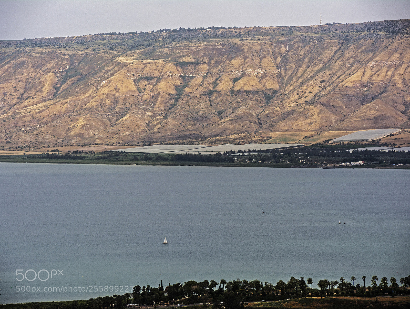 Nikon D7100 sample photo. North israel,the lake of photography