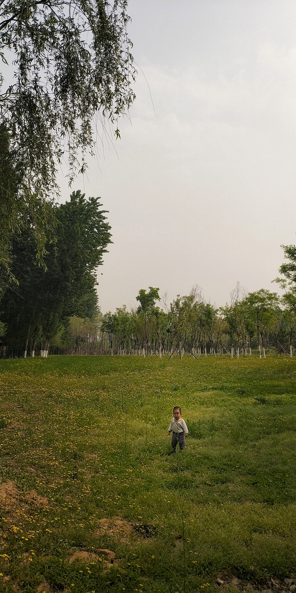Xiaomi MIX 2 sample photo. 天地人 photography