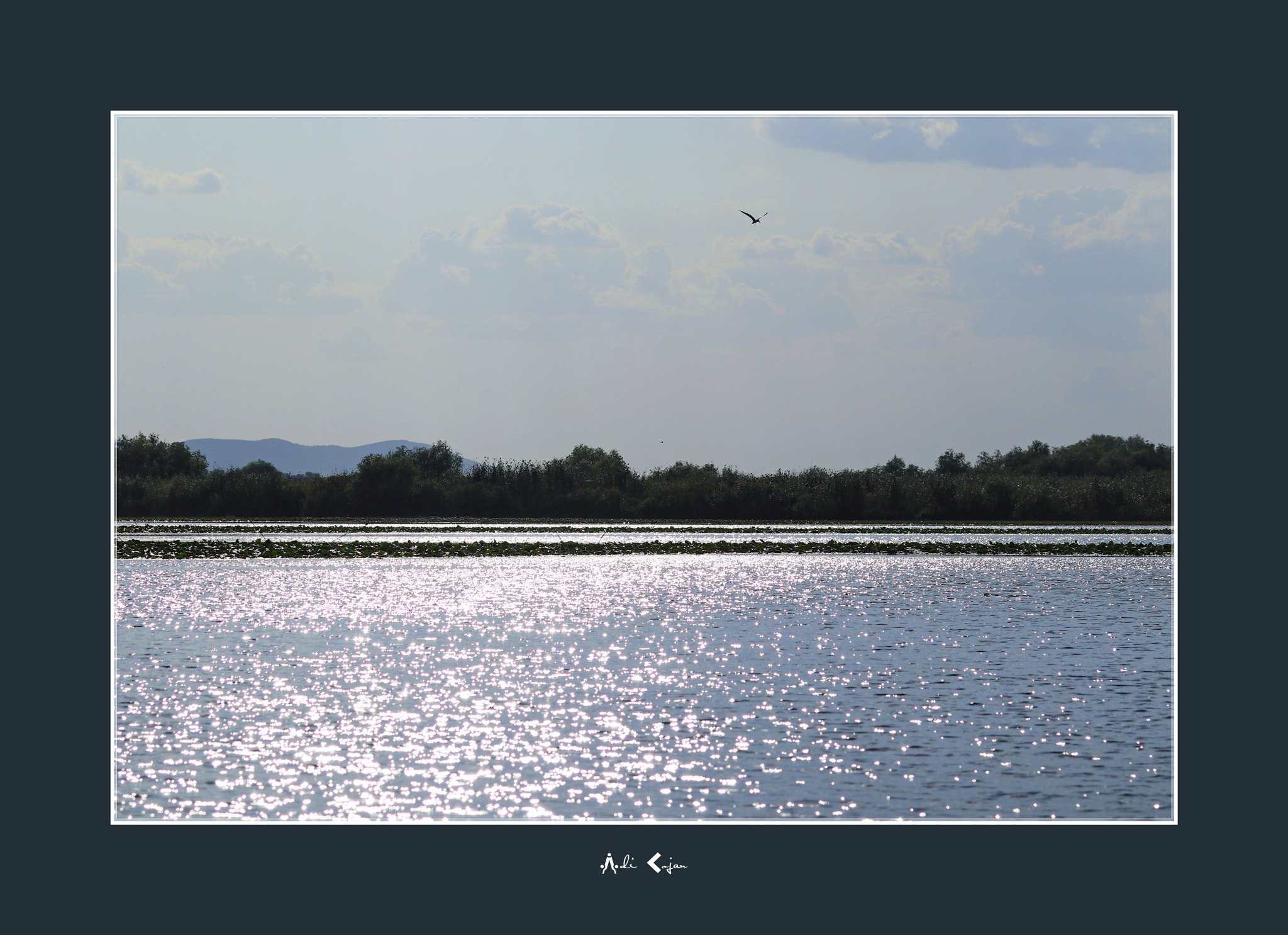 Canon EOS M5 sample photo