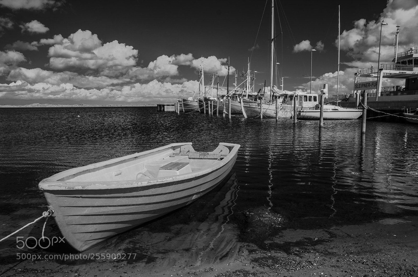 Nikon D7000 sample photo. Fur harbour (ir) photography