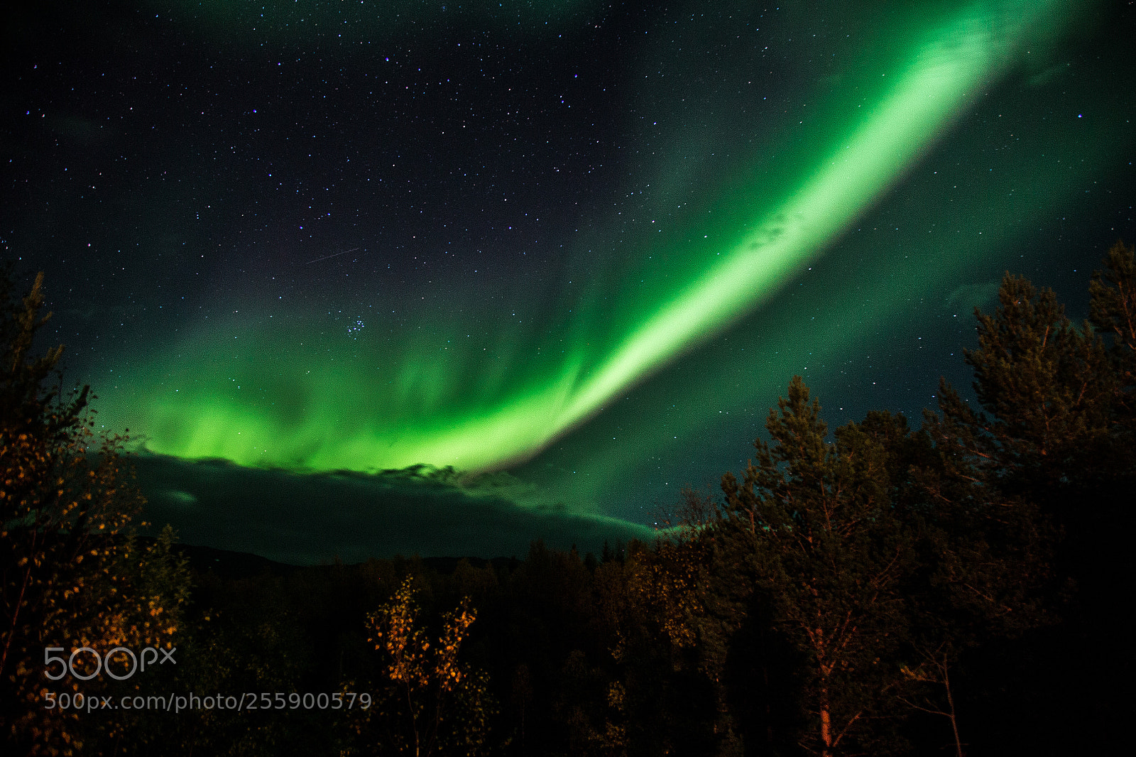 Canon EOS 6D sample photo. Sulitjelma aurora borealis photography