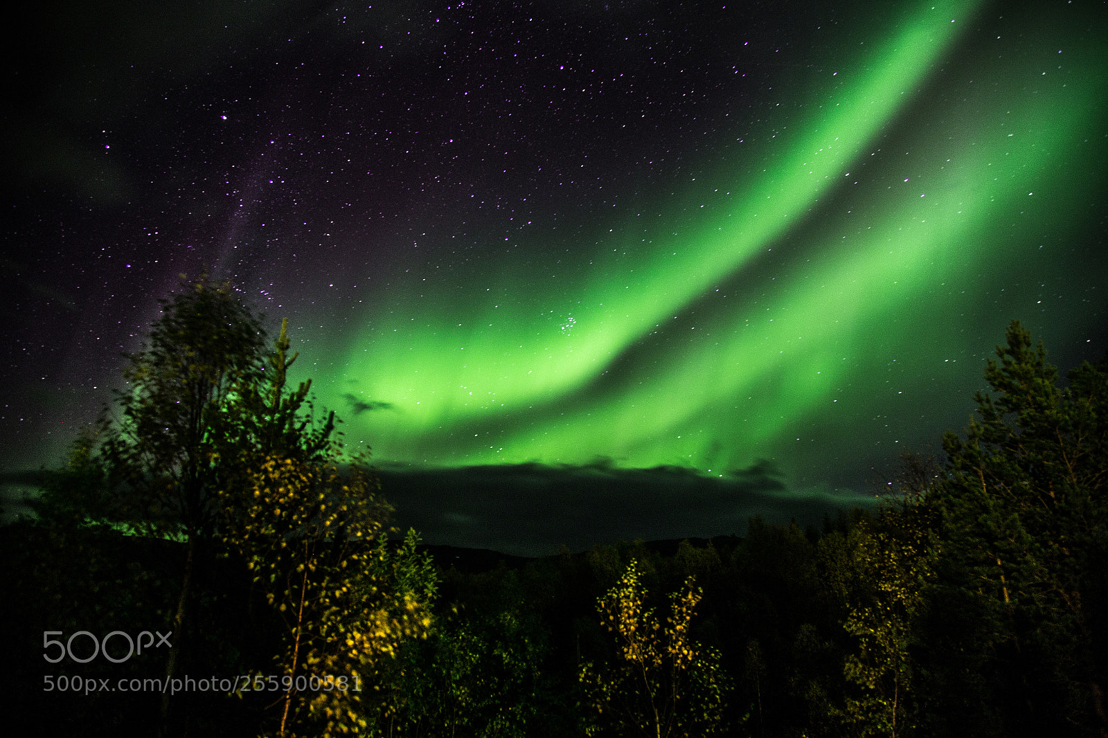Canon EOS 6D sample photo. Sulitjelma aurora borealis photography