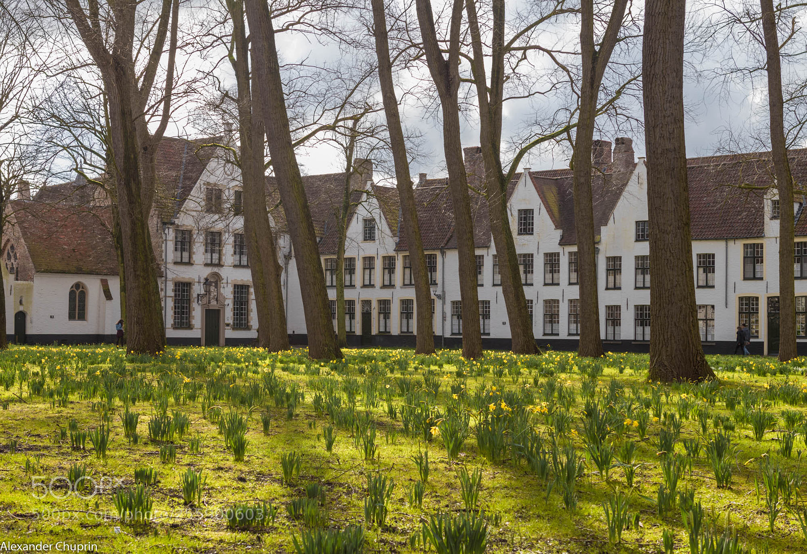 Canon EOS 80D sample photo. Brugge photography