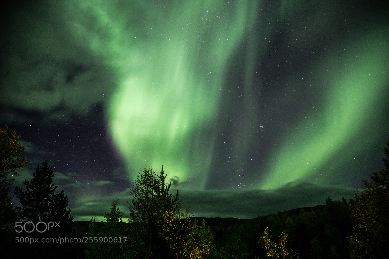 Canon EOS 6D sample photo. Sulitjelma aurora borealis photography