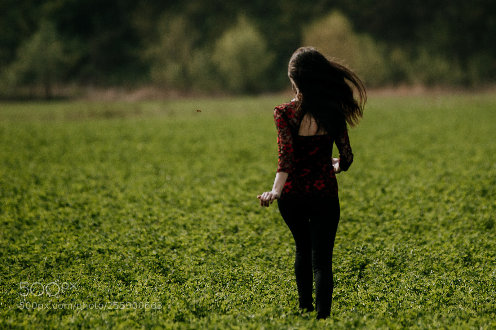 Nikon D3200 sample photo. Living photography